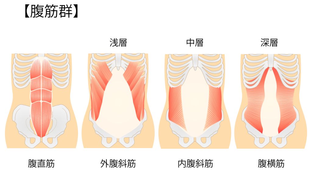 腹痛の「なぜ？」がわかる本書籍詳細書籍医学書院