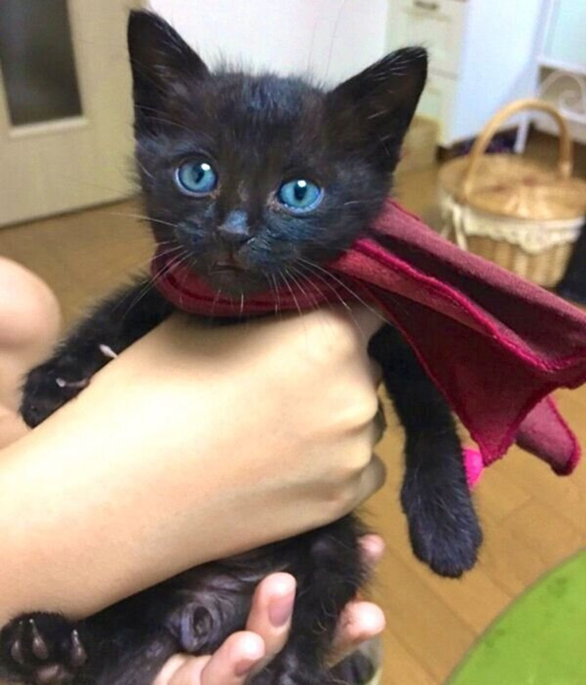 ShockingThe fastest way for Japanese people to have blue eyes! - YouTube