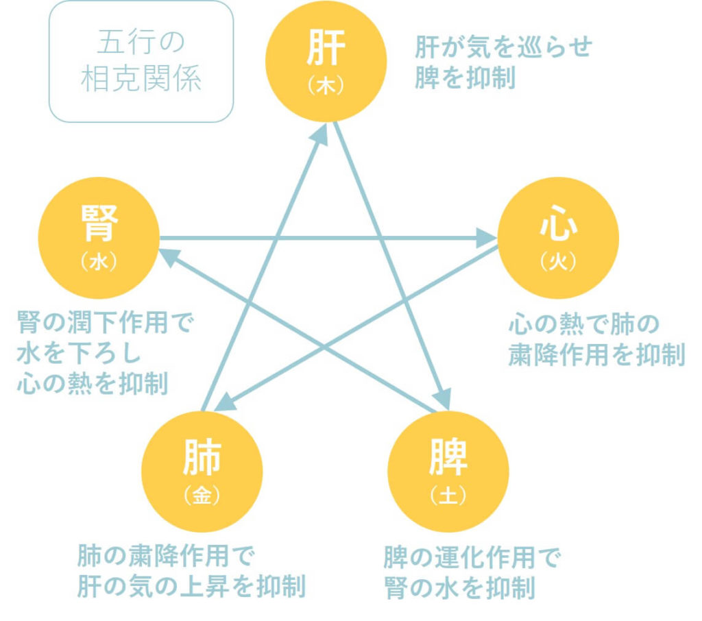 繋がりを知ると不調の原因がわかる！ 漢方・薬膳の基本：五行学説について③漢方・薬膳 で子育て世代のメンタルサポートゆか・薬剤師・ティーセラピスト®