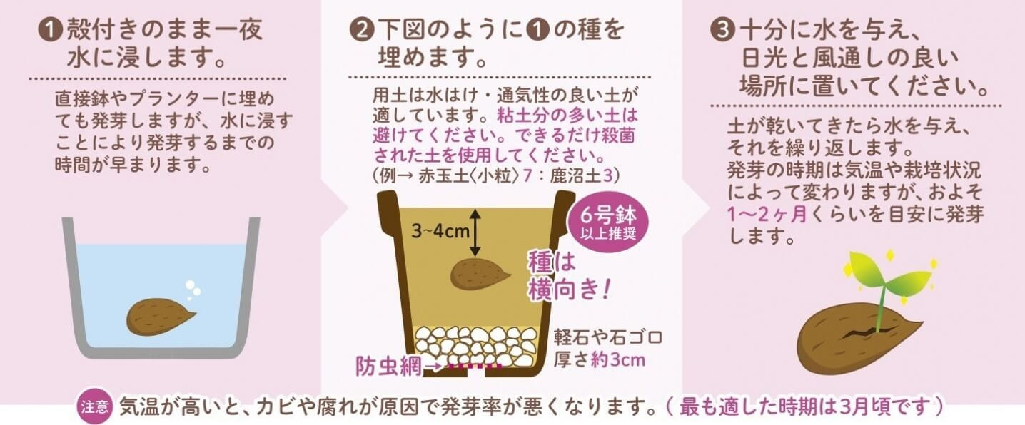 日本初「ヘーゼルナッツ学校」開校！7 26に開校式 100年後を見据えた持続可能な農業・ 「信州古里ヘーゼルナッツの里」プロジェクト 長野市長や著名パティシェも参加、国産ナッツへ高まる期待株式会社フル里農産加工