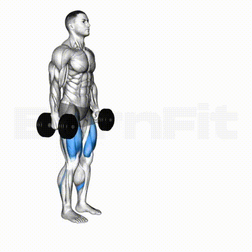 ダンベルサイドランジ 内もも・内転筋に効果の高い筋トレ方法マズレンコ製作所公式ブログ筋トレ専門サイトGLINT