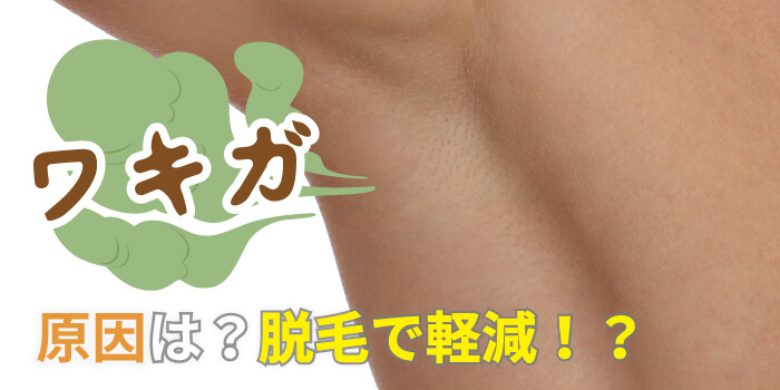 脇にブツブツ」ができる原因・対処法はご存知ですか？医師が徹底解説！ 症状の原因・病気一覧・診療科 - メディカルドック