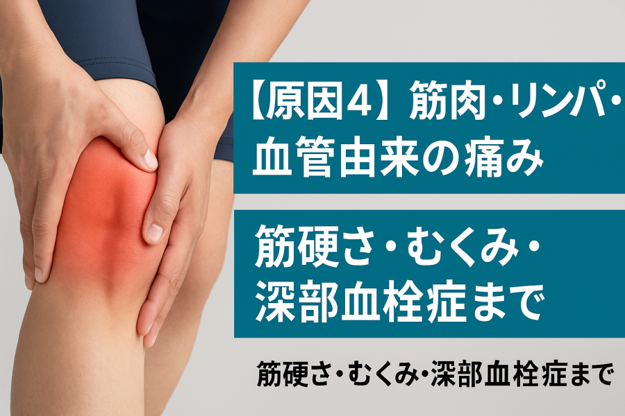 膝の裏のふくらみ。「ベーカー嚢腫」 のうしゅ ってなんだ