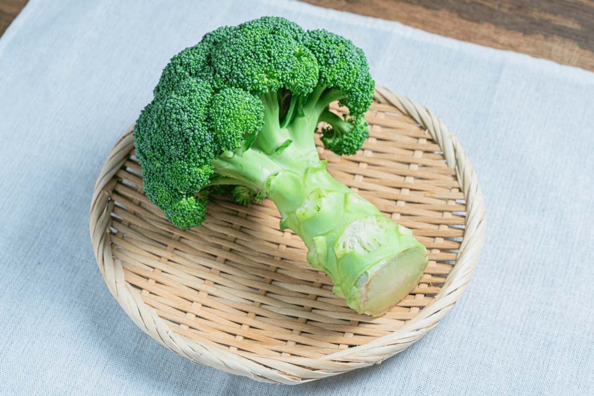 たべるってたのしい！ あか き みどりの げんきべんとう