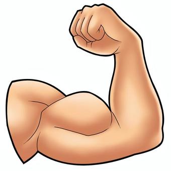 イラストの解剖学：腕の描き方トラバブログ