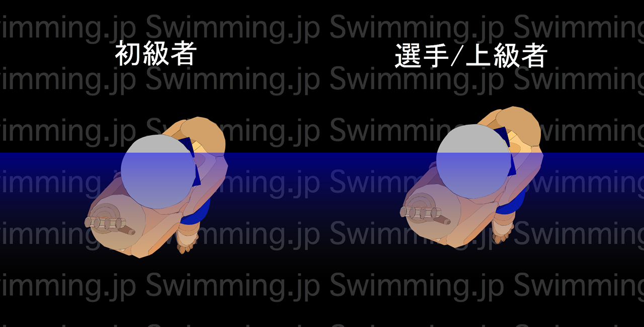 自由形」なのにクロールばかり？自由形のルールと歴史 Seiko HEART BEAT Magazineセイコーグループ