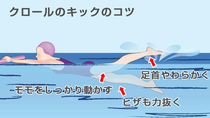 クロールの泳ぎ方 │ こっそり水泳マスタ