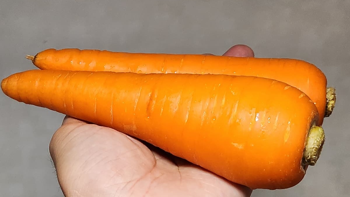 カレーのにんじん、切り方の正解はコレ！ 皮の処理についても解説カレーハウスハウス食品