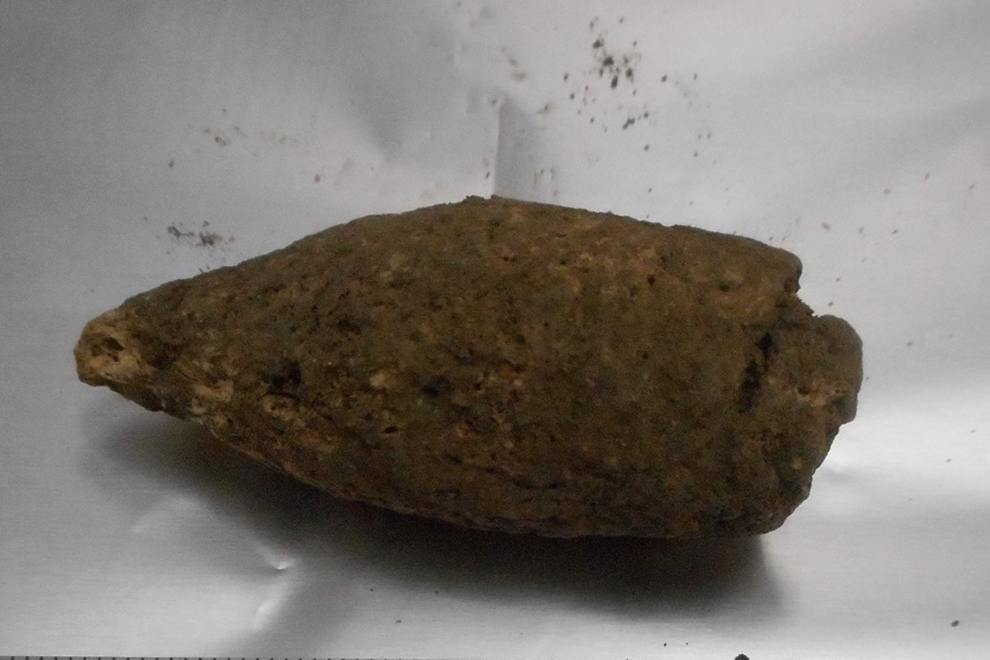 人糞積んだリアカーをひっくり返し大立ち回り 「汚い戦争」が頻発する北朝鮮 デイリーNKジャパン ｄメニューニュース NTTドコモ