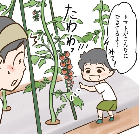 よい土がよい野菜を育てる野菜 山田式家庭菜園教室～Dr.藤目改訂版～調べるタキイ種苗株式会社