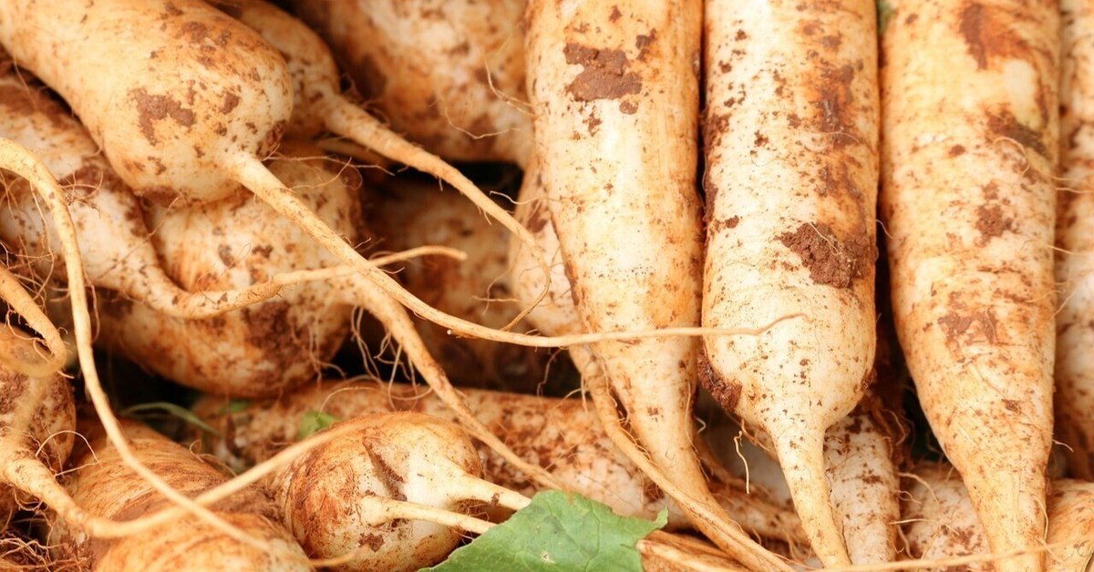 食害性害虫、ハモグリバエの駆除方法！農薬&天敵を利用する効果的な対策もご紹介！kurashi-no