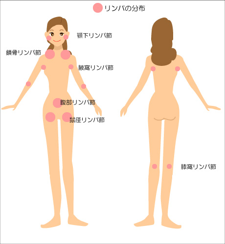 老廃物を排出するリンパマッサージの効果