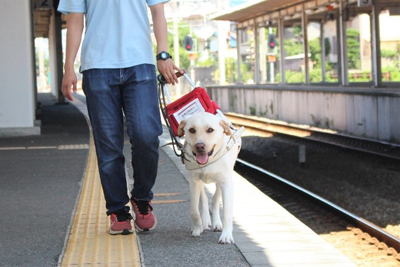 盲ろう者の日常盲ろう者とは-手から手へ 心から心へ-東京盲ろう者友の会