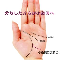 20代の恋愛線は感情線から生命線の上の方に出るが、晩年の繁栄につながる70代の恋愛線は、どこに出る？ 手相がわかれば未来は変わる！金持ち手相占い-ラブすぽ