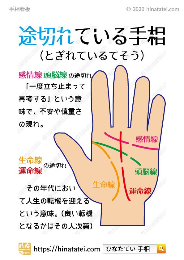 手のひらに横一直線に出ている線の意味は？ 珍しい手相？ 疑問に答えますOggi.jp