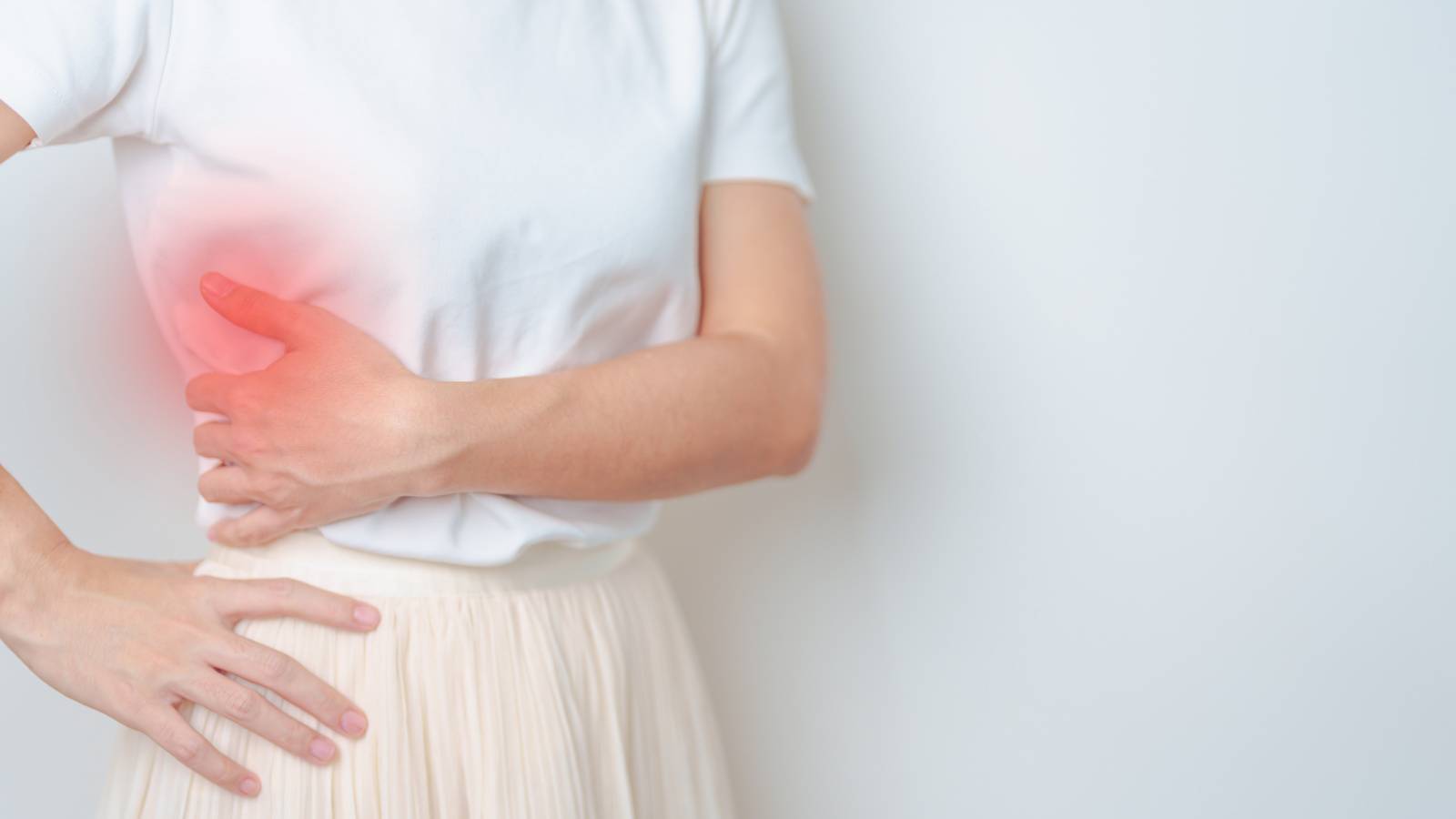 10.肝臓8 脂肪肝病理コア画像