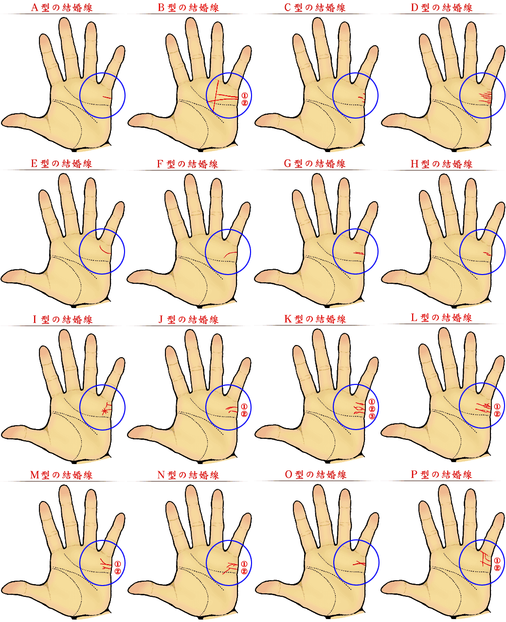 感情線とは？感情線の見方３選やばい感情線も紹介