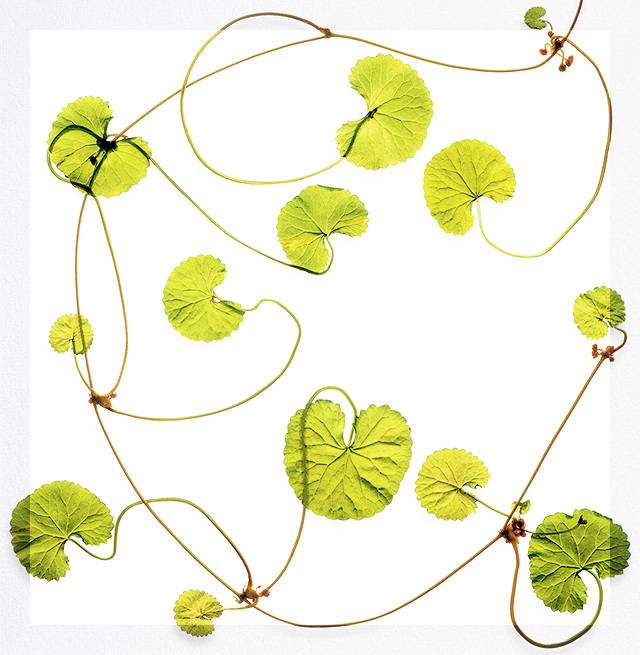 ビーハイブアヴェダ PARCO2店 BEHIVE AVEDA仙台市青葉区中央エキテン byGMO