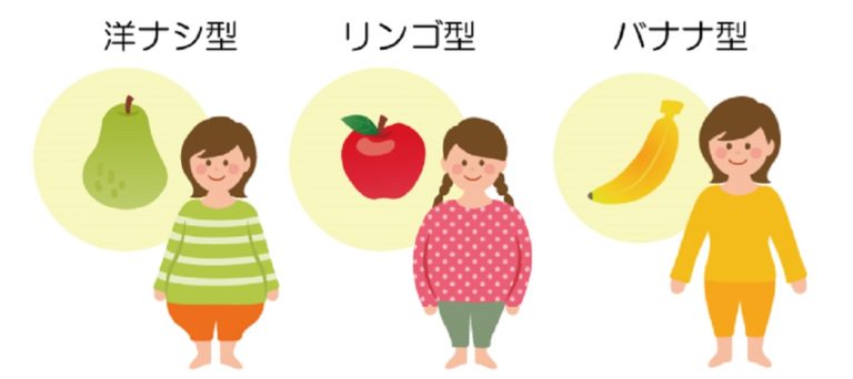 あなたの体形は「リンゴ」型？それとも「洋ナシ」型？治験モニター・治験バイト募集ならJCVN