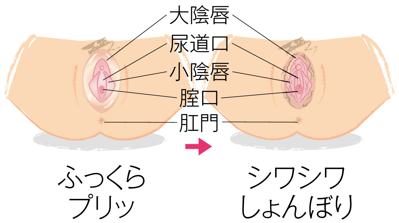 婦人科の美容整形eクリニック岡山院 公式 美容整形・美容外科