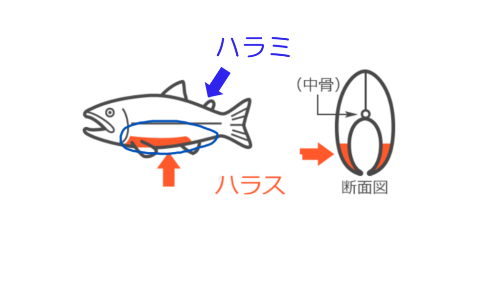 鮭のハラミとハラスって何が違うの？特徴やカロリーを解説＆鮭ハラミレシピ毎日かんたん○ごはん♪