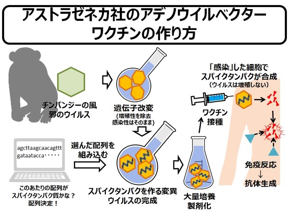 新型コロナウイルス感染症ワクチン接種が進行している今、基本的な原理の理解をファーマスタイルWEB