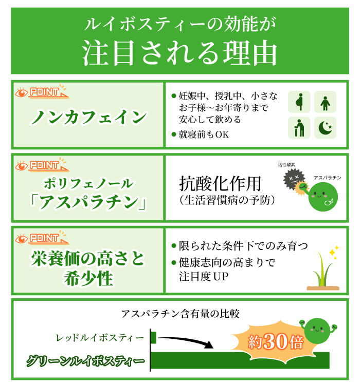 脳梗塞予防の新常識！ルイボスティーが血管を守るメカニズムを徹底解剖再生医療×リハビリ・脳卒中・脊髄損傷