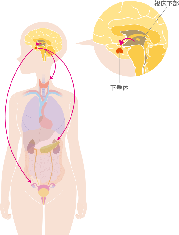 外科・消化器外科独立行政法人 労働者健康安全機構 大阪ろうさい病院