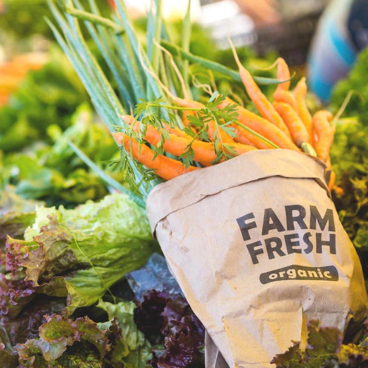 野菜の残留農薬除去,食の安心,コロナウイルス除菌.除菌スプレー、除菌剤,コロナ対策、ヘア干しのニオイ、洗剤、ヘア干し洗剤, - シェルミラック公式通販店