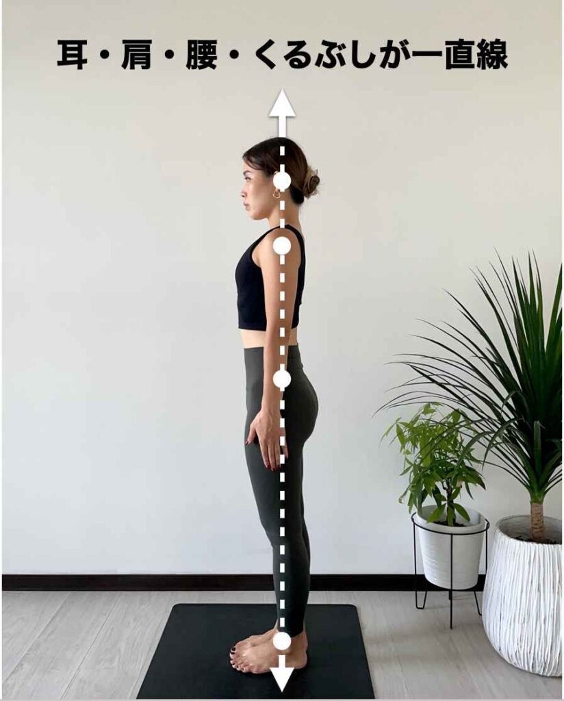 ハラーサナ スキのポーズ の効果とやり方動画・図解フレアプラス 東京のヨガスタジオ