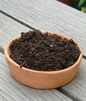 プランターでの簡単な生ゴミ堆肥作り