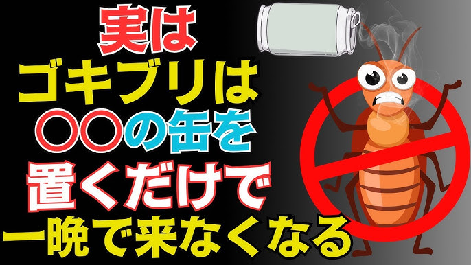 長野は190.6円！ 22週連続でガソリンが全国最高値 国の補助金縮小でガソリン価格が再び上昇 abnニュース 2025.01.16-YouTube