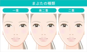 目指せパッチリ目！アーモンドアイで理想のアイメイク - Beauty Column 美容コラムMEIKO