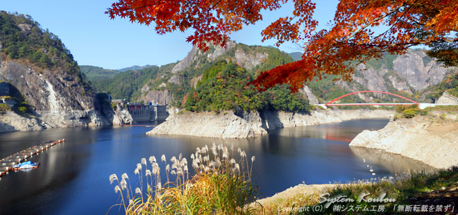 日向神ダム桜吹雪とピンクの絨毯はここでしか味わえない 八女たびらい
