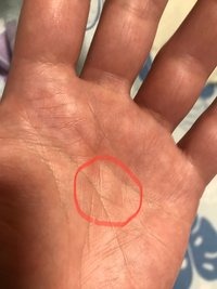 手相占い スクエア・スター・クロスなど手の平に現れるマークの意味を詳しく解説！ - 美・フェイスナビゲータ