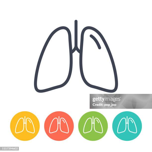 肺胞のイラスト - 医療のイラスト・写真・動画、素材販売サイトのメディック medick