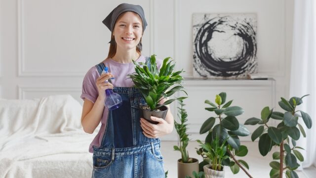 茎伏せの新着記事アメーバブログ アメブロ