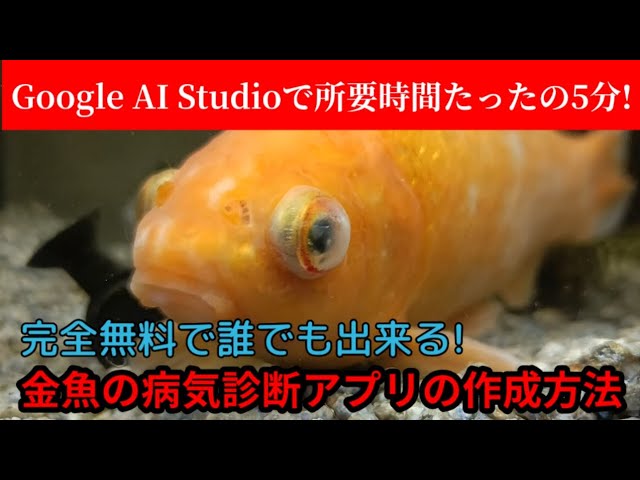 生成AI 無料でここまで!? 「Google AI Studio」で作る金魚の病気診断アプリ - YouTube