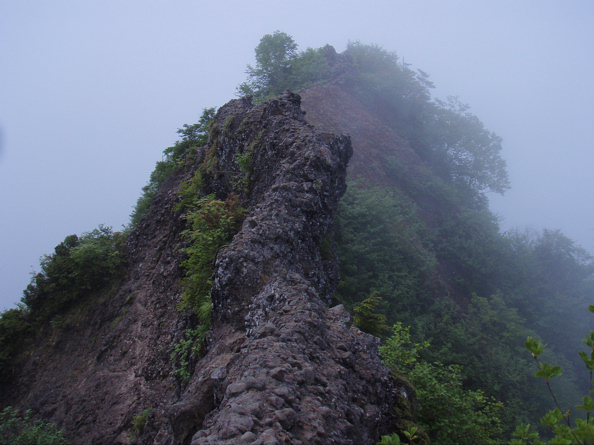 痔ろう あな痔 と肛門周囲膿瘍岡外科胃腸肛門科