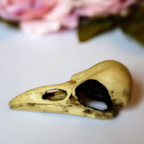 形成外科頭蓋骨縫合早期癒合症 狭頭症 治療・手術順天堂大学医学部附属順天堂医院