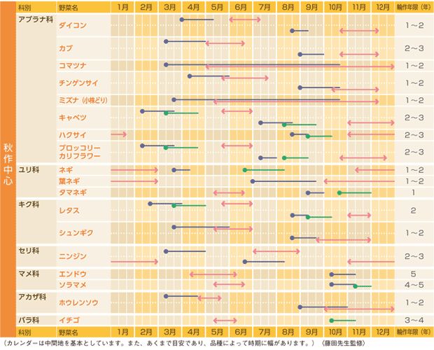野菜栽培カレンダーをExcel エクセル でつくってみよう！手順を紹介