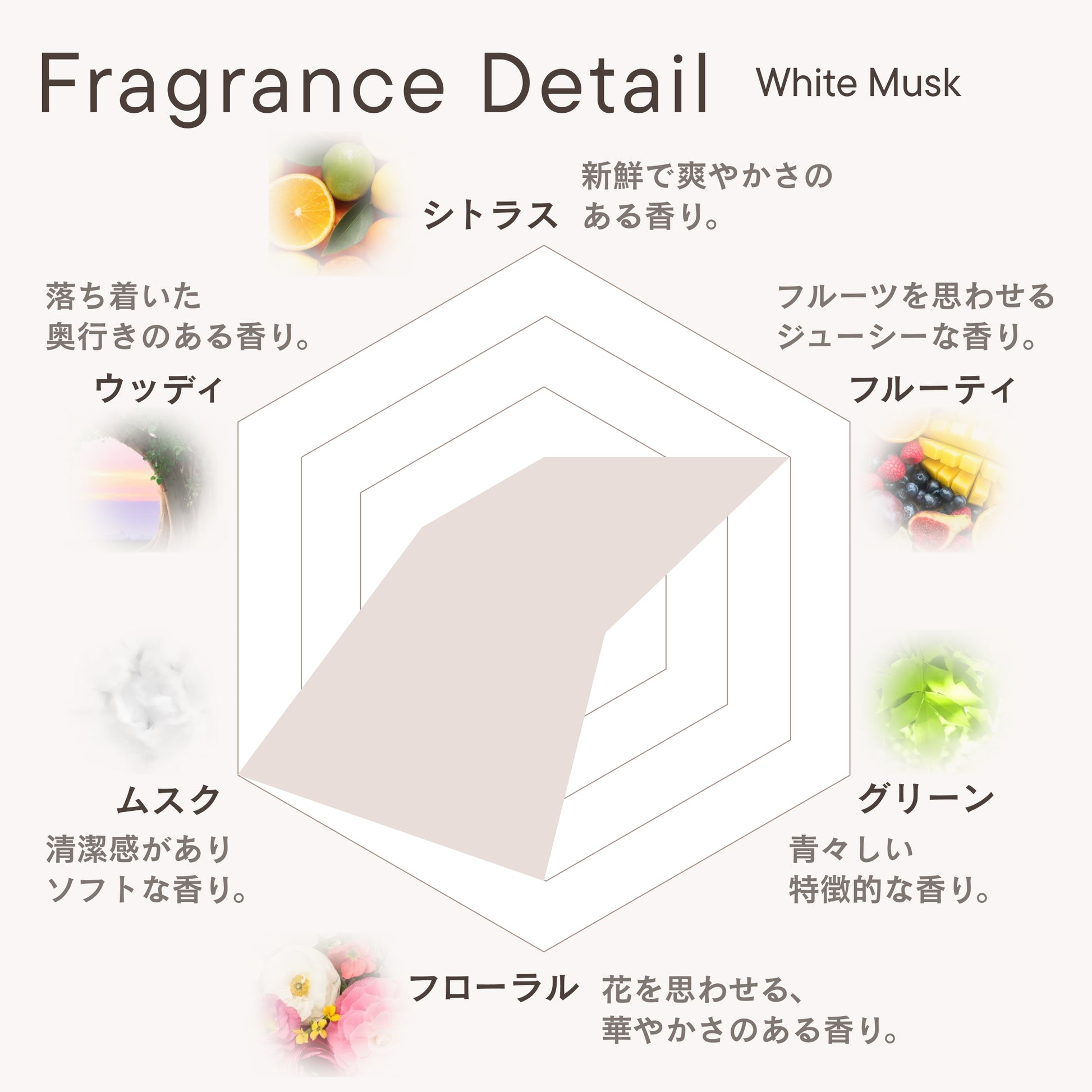 ホワイトムスクの香水やルームフレグランス おすすめ９選美的.com