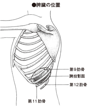 上部胃がんにおける脾門部リンパ節転移を予測する機械学習モデルの開発 ベイズ主義アプローチに基づく臨床的意思決定支援システムを開発 -名古屋大学研究成果情報
