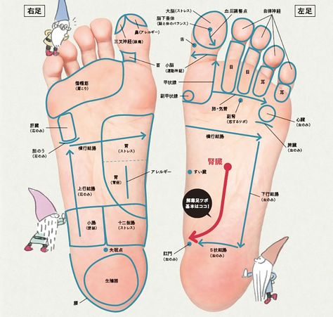 喘息に効果的な足つぼ療法を学ぶTikTok