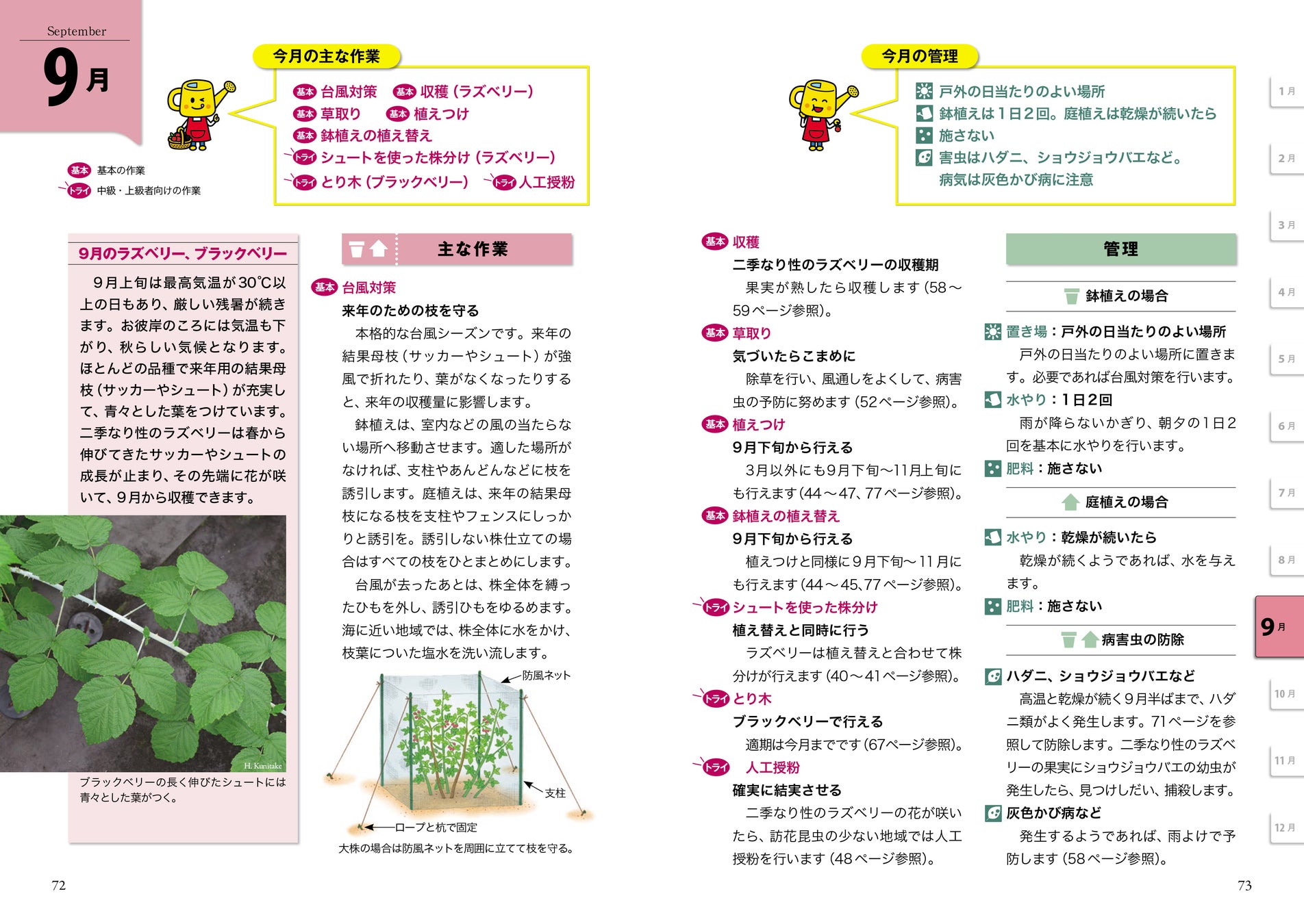 ラズベリーの育て方を農家が解説。畑・プランター栽培の手順や気を付けたい病害虫まで伝授マイナビ農業