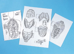 レオナルド・ダ・ヴィンチと解剖学の歴史 - 新・ノラの絵画の時間