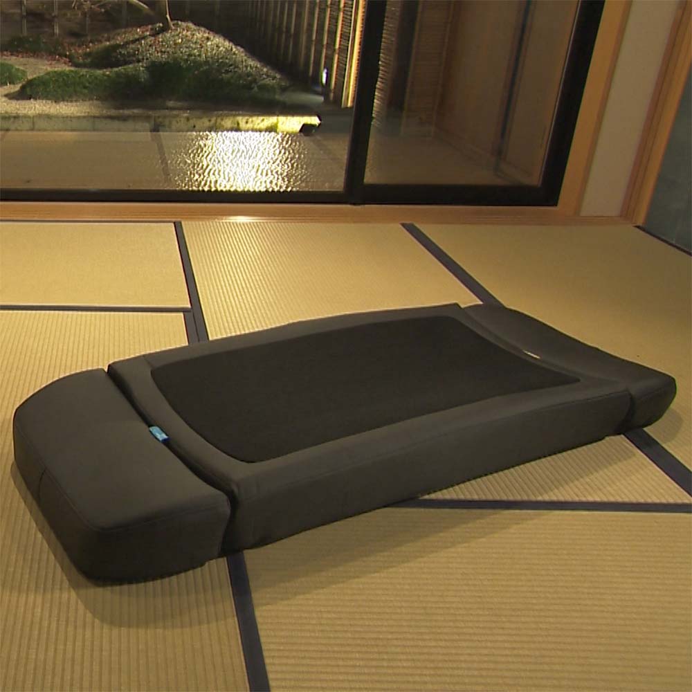 フランスベッド ベッド型マッサージ機 ラミダス - ご自宅無料体験