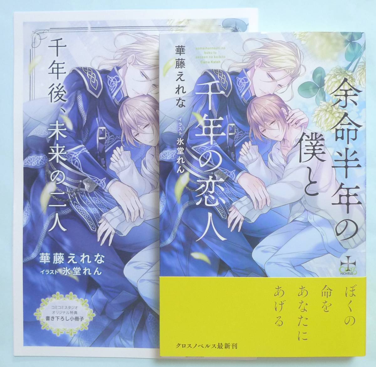 BL 小説 華藤えれな 余命半年の僕と千年の恋人 雪豹王の許嫁