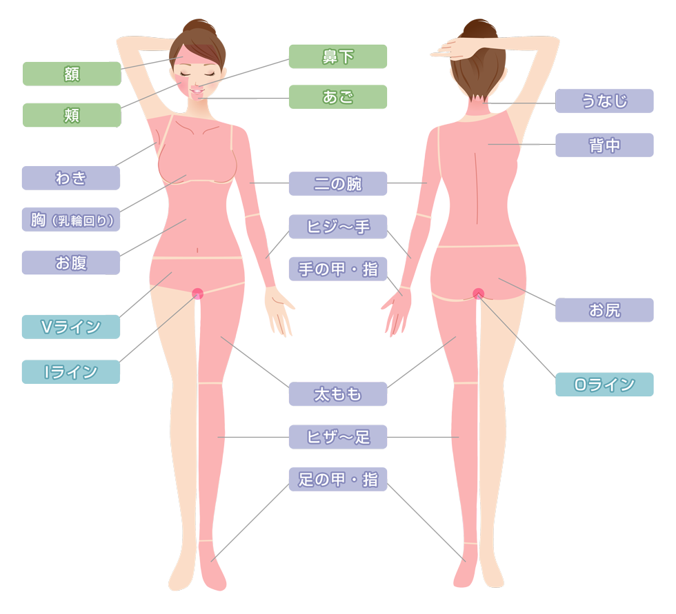 今最も選ばれている、最新人気脱毛部位ランキング！ | 脱毛サロン研究Lab
