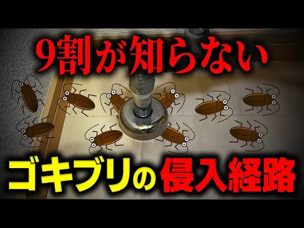 進化形ゴキブリ殺虫剤 死骸は見たいか見たくないか - 日本経済新聞